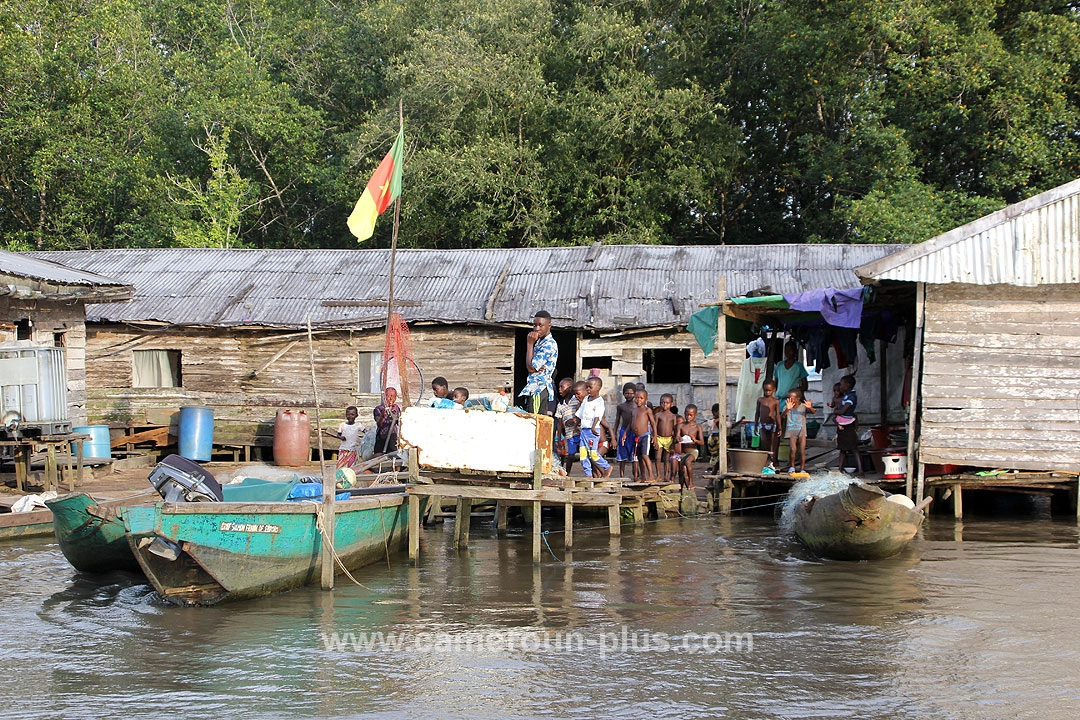 Cameroun, location bateau, visite des mangroves