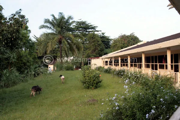 Cameroun, hôtel, Bertoua, MANSA