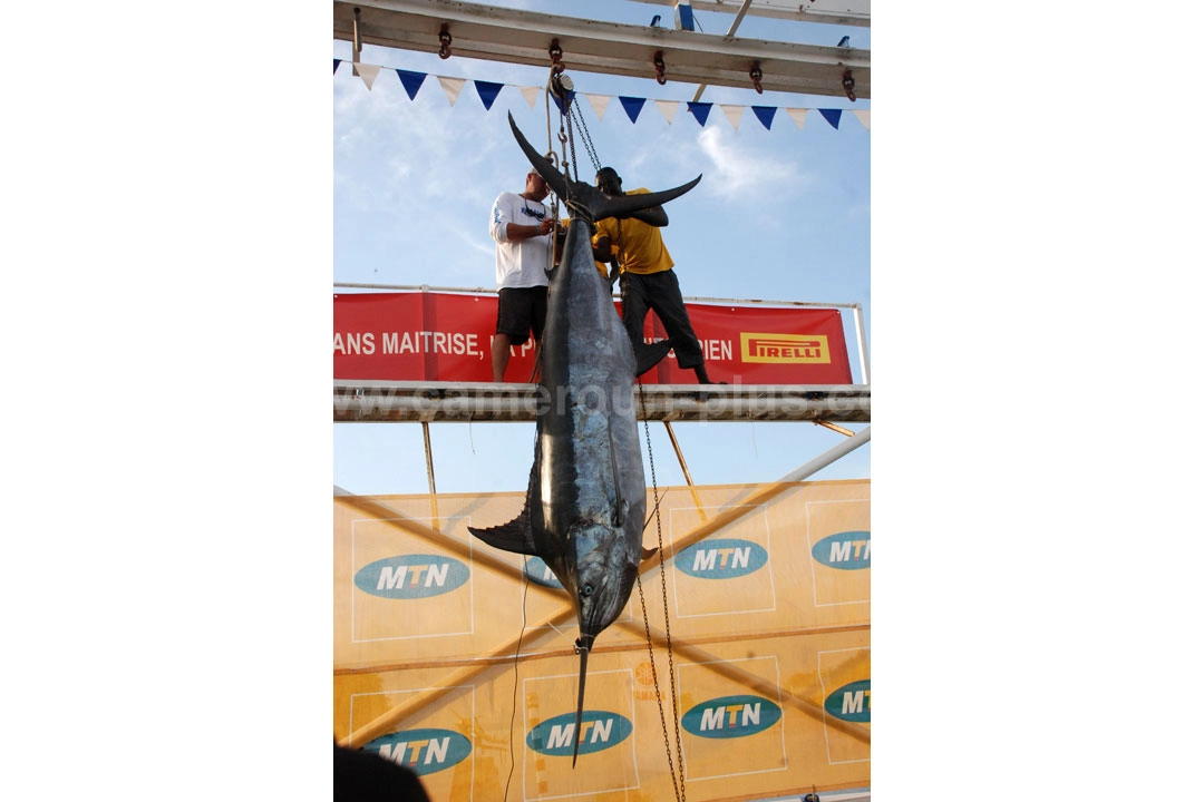 25ème Challenge international de pêche sportive du Cameroun (2013) - Premier jour 04