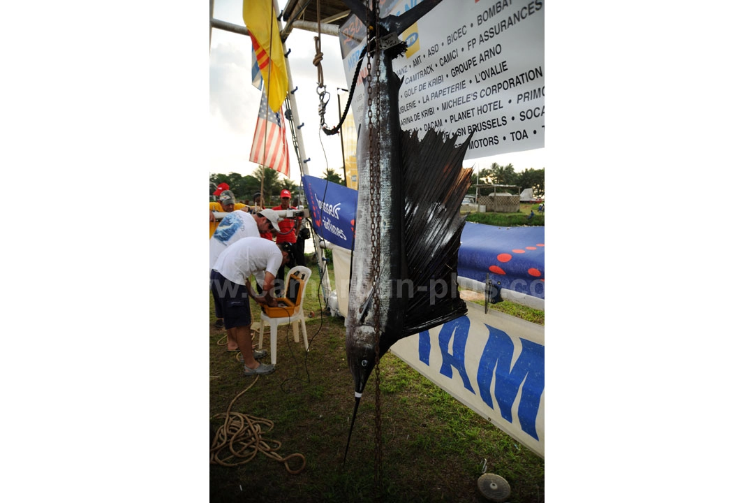 23ème Challenge international de pêche sportive du Cameroun (2011) - Premier jour 13