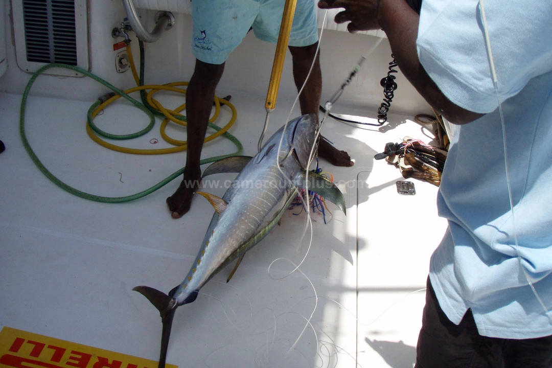 21ème Challenge international de pêche sportive du Cameroun (2009) - Premier jour 04