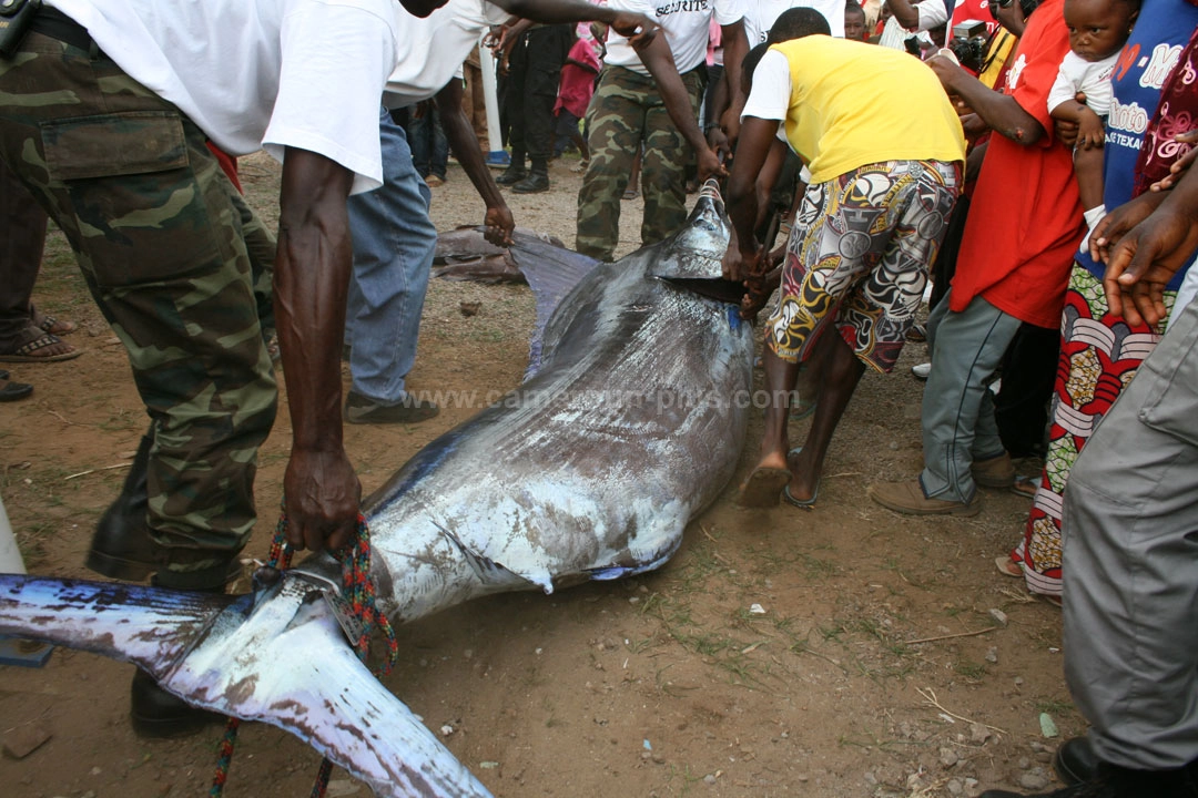 21ème Challenge international de pêche sportive du Cameroun (2009) - Premier jour 09