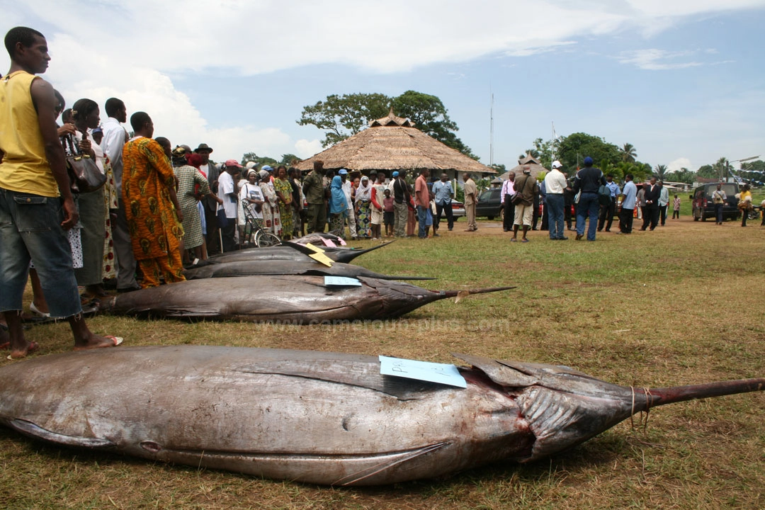21ème Challenge international de pêche sportive du Cameroun (2009) - Premier jour 18