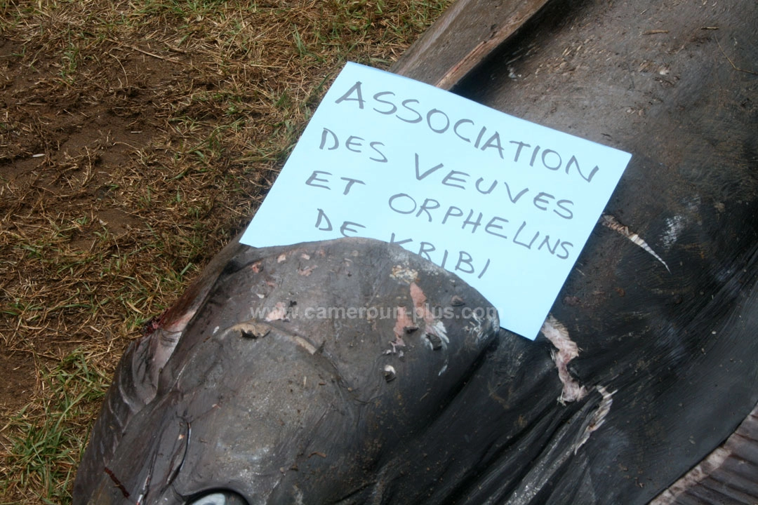 21ème Challenge international de pêche sportive du Cameroun (2009) - Premier jour 19