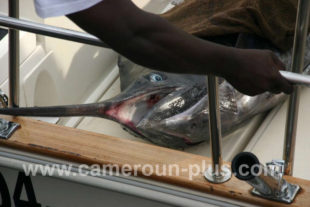 18ème Challenge international de pêche sportive du Cameroun (2006) - Premier jour 08