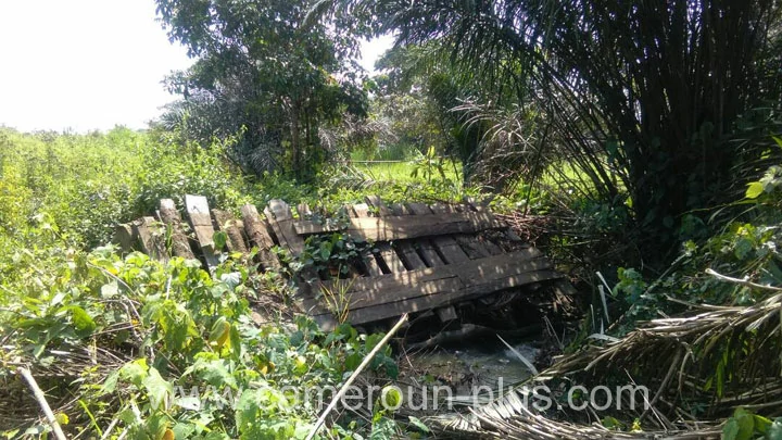 Traid du Cameroun, 30&egrave;me Traid du Cameroun (2018)