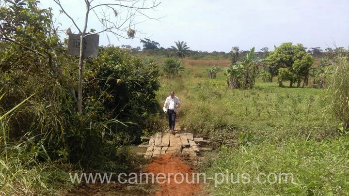 Traid du Cameroun, 30&egrave;me Traid du Cameroun (2018)