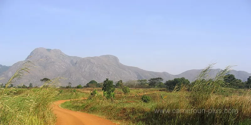 Cameroun, commune, géographie, Massangam