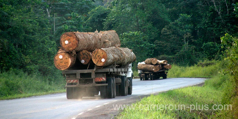 Cameroun, commune, géographie, Matomb Cameroun, commune, géographie, Matomb