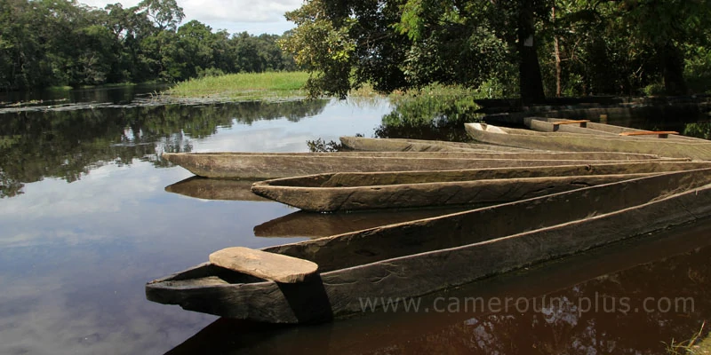 Cameroun, commune, géographie, Akonolinga Cameroun, commune, géographie, Akonolinga